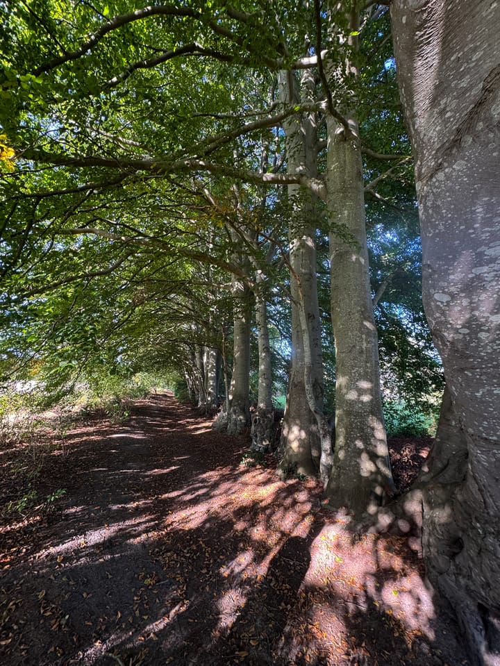 Photo 84 of Oud Avereest 3