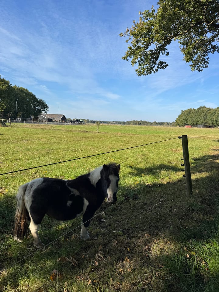 Photo 87 of Oud Avereest 3