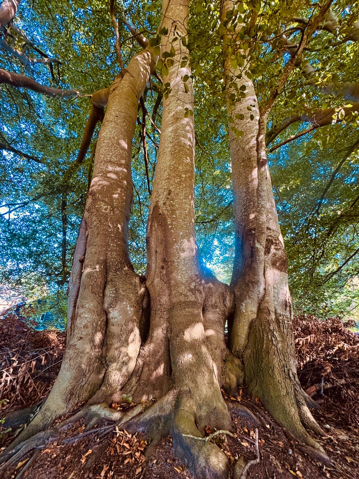 Photo 88 of Oud Avereest 3