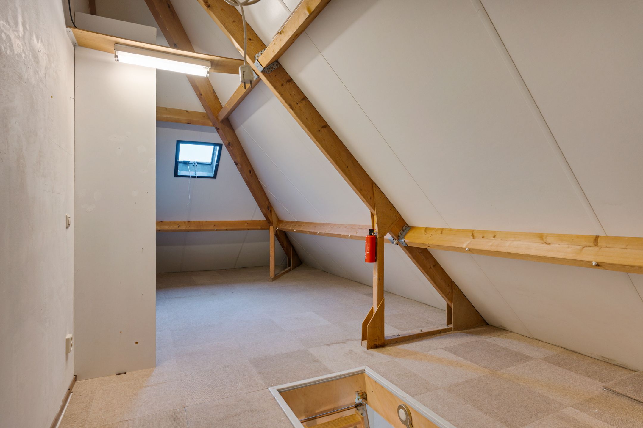 Foto 48 van Hermionegang 1