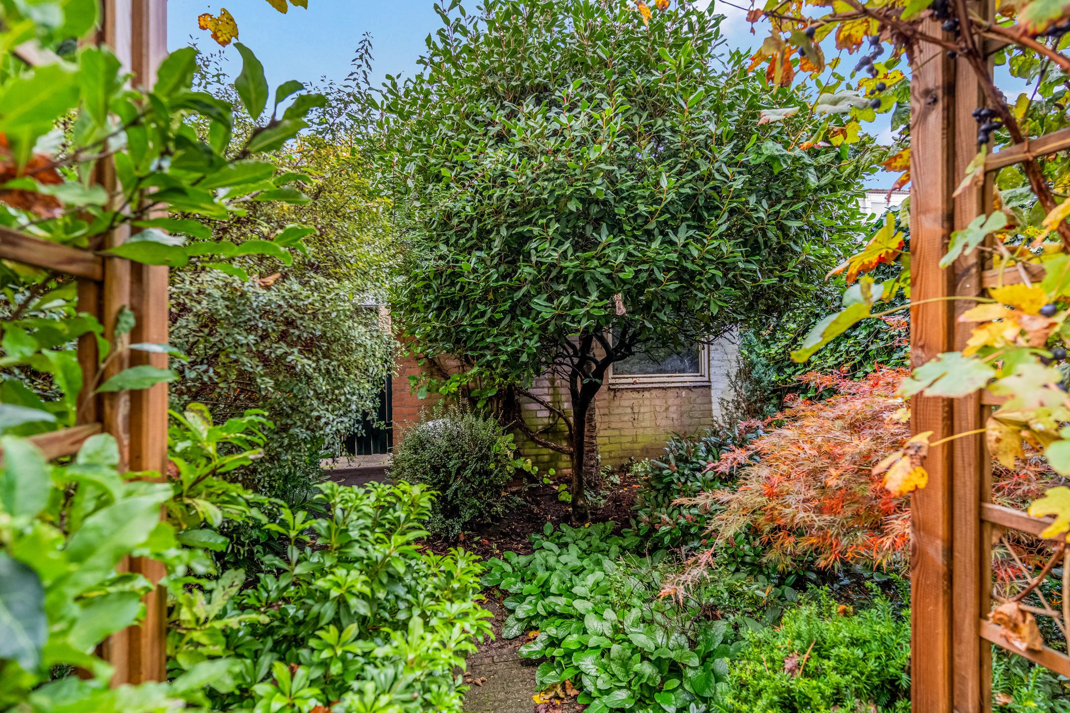 Foto 42 van Sint Hubertus 69