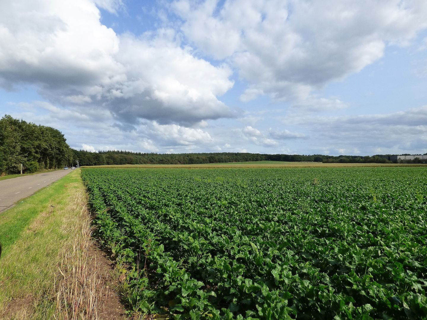 Bekijk foto 2 van Autoweg