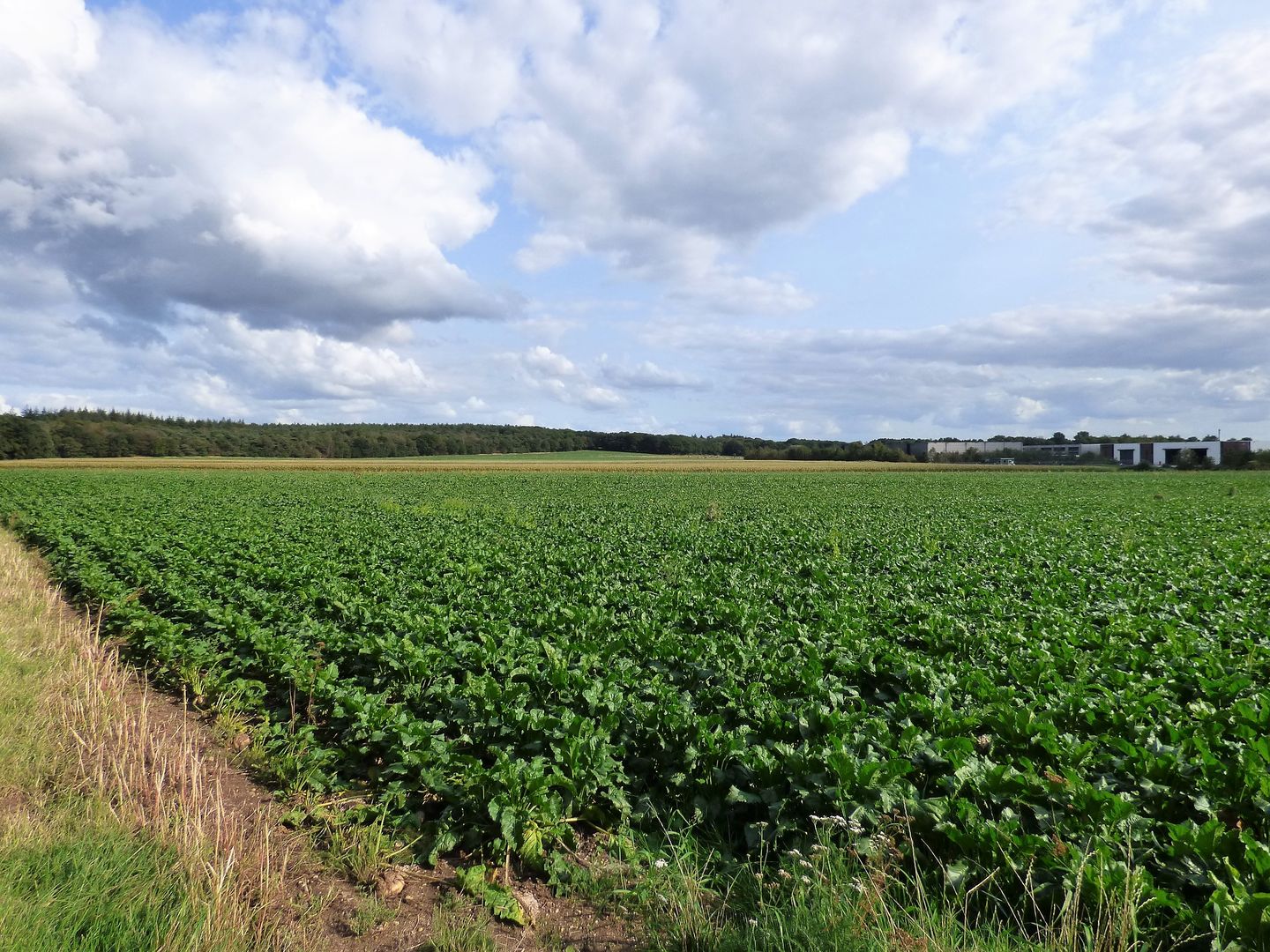 Bekijk foto 5 van Autoweg