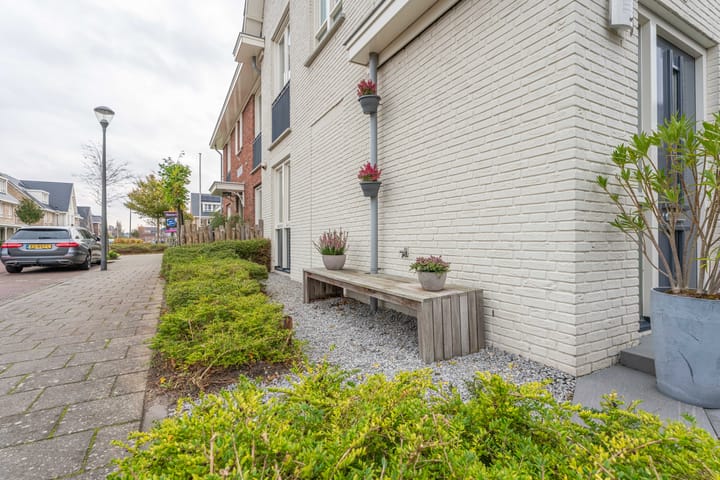 Foto 39 van Narcis 1