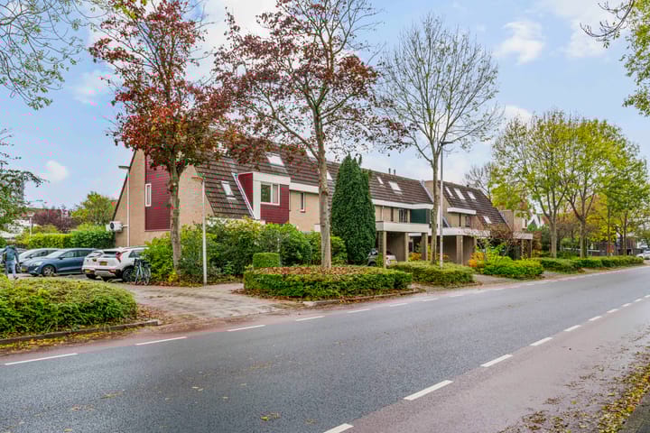 Photo 39 of Heinsiuslaan 10