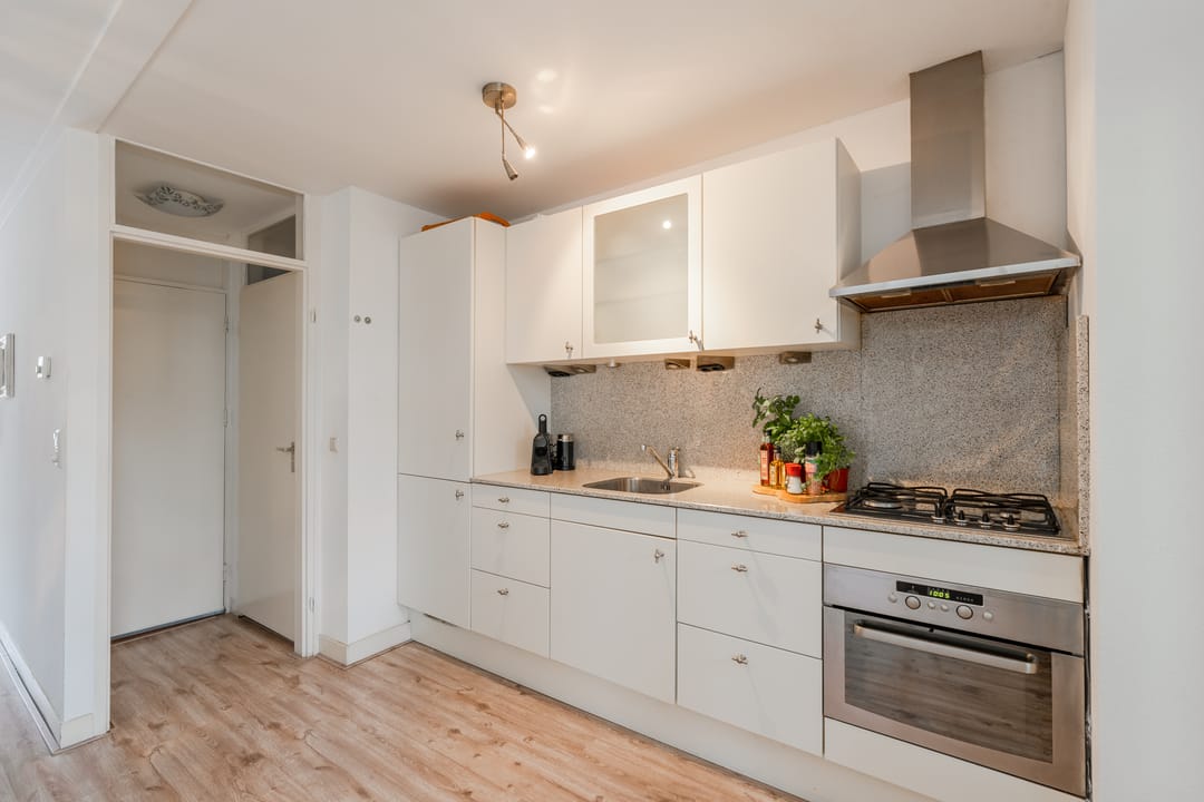 Foto 16 van Van Ostadestraat 51-3