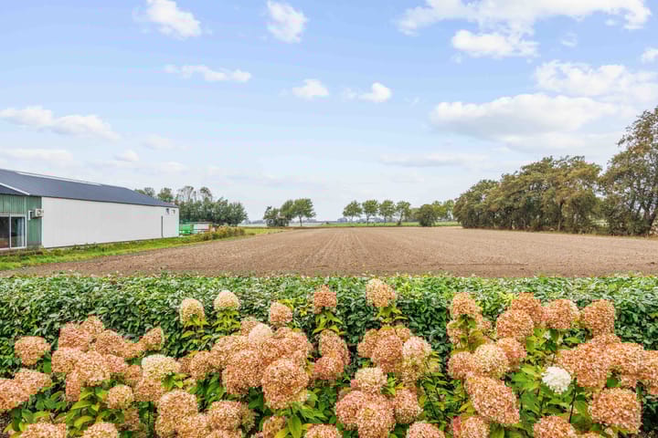 Foto 45 van Kleasterwei 5