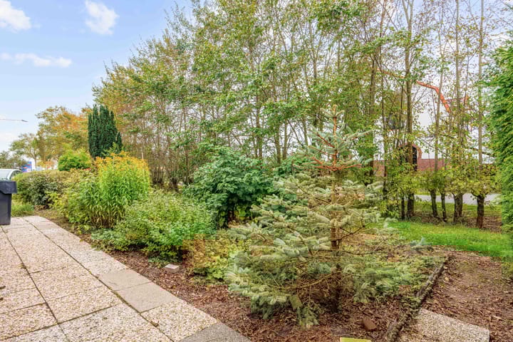 Foto 49 van Kleasterwei 5