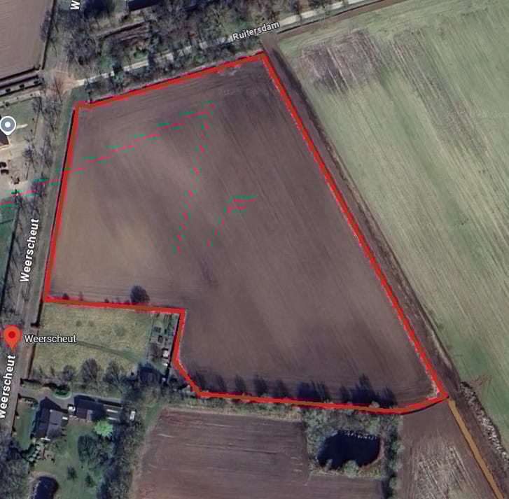 Bekijk foto 3 van Weerscheut