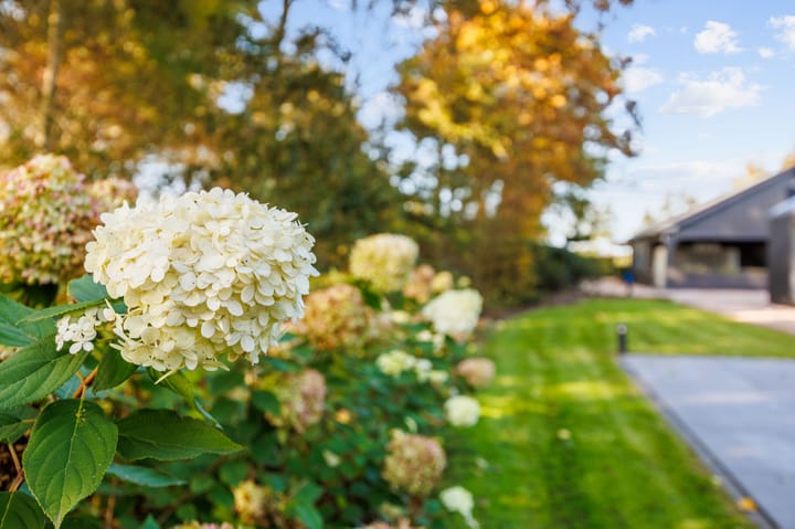 Photo 23 of Tjessingawei 12