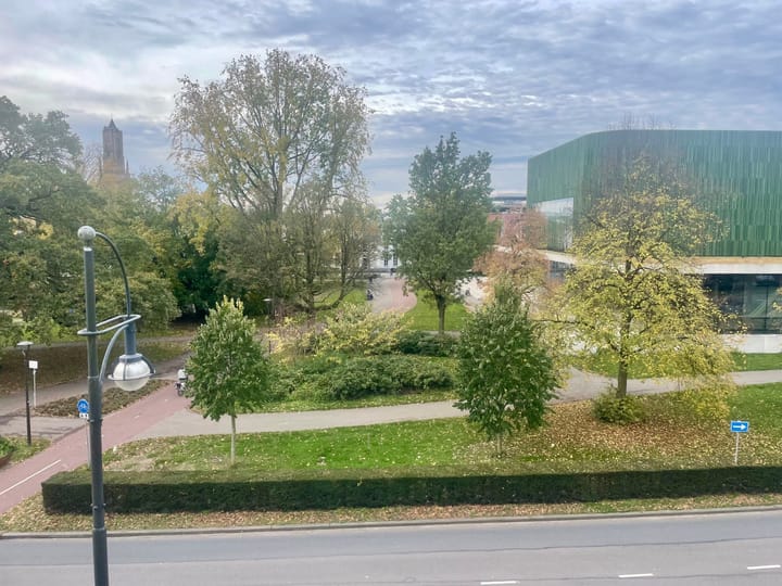 Foto 28 van Velperbuitensingel 19-5