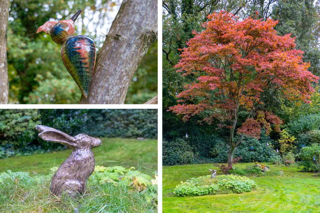 Foto 31 van Uutlangen 15