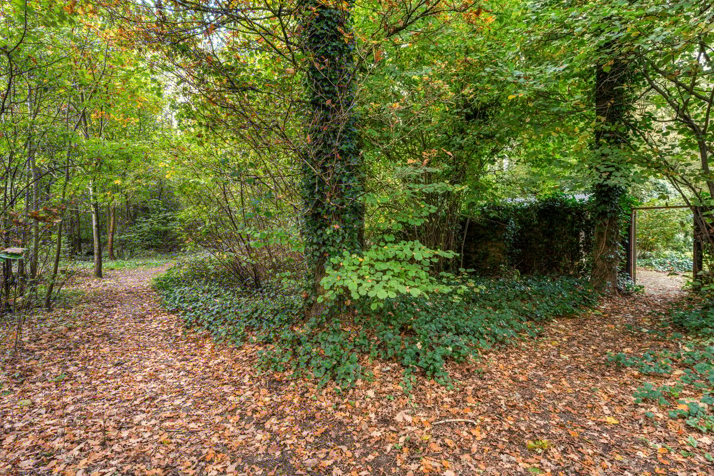 Foto 34 van Uutlangen 15