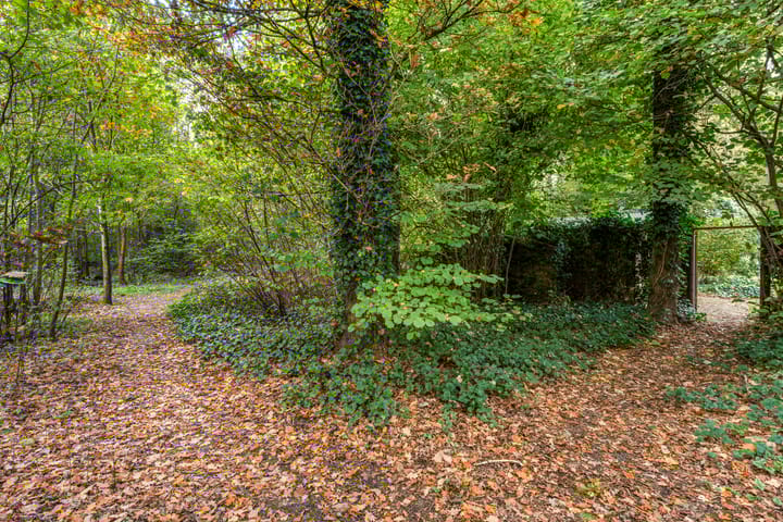 Photo 34 of Uutlangen 15