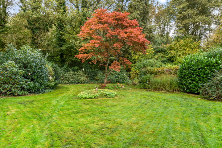 Photo 40 of Uutlangen 15