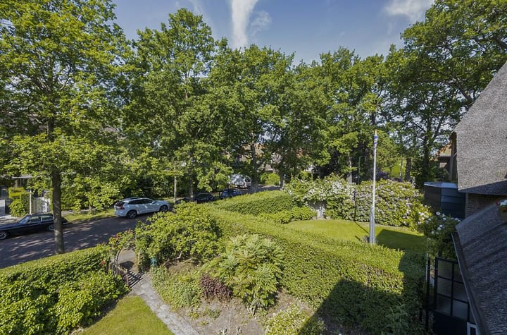 Photo 46 of Hogeweg 8