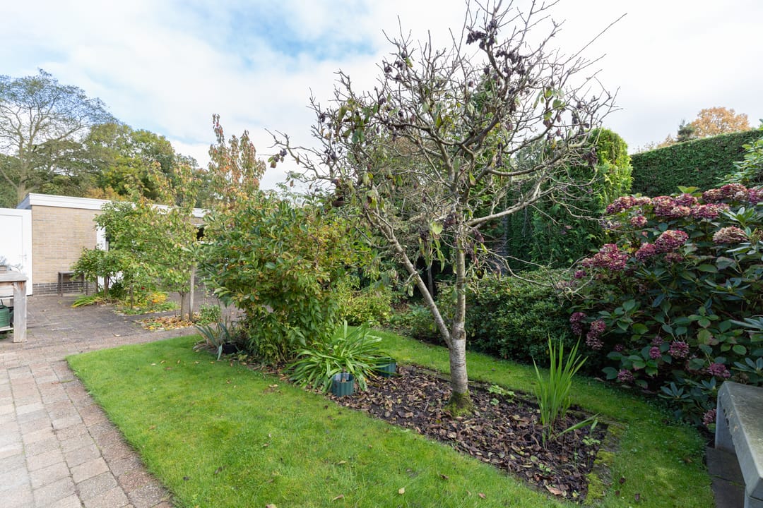 Foto 16 van Josinalaan 1