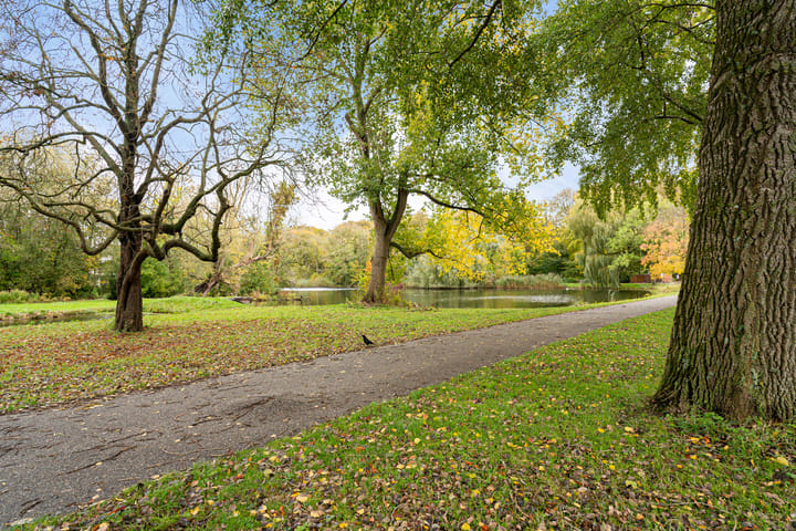 Photo 44 of Kralingseweg 143