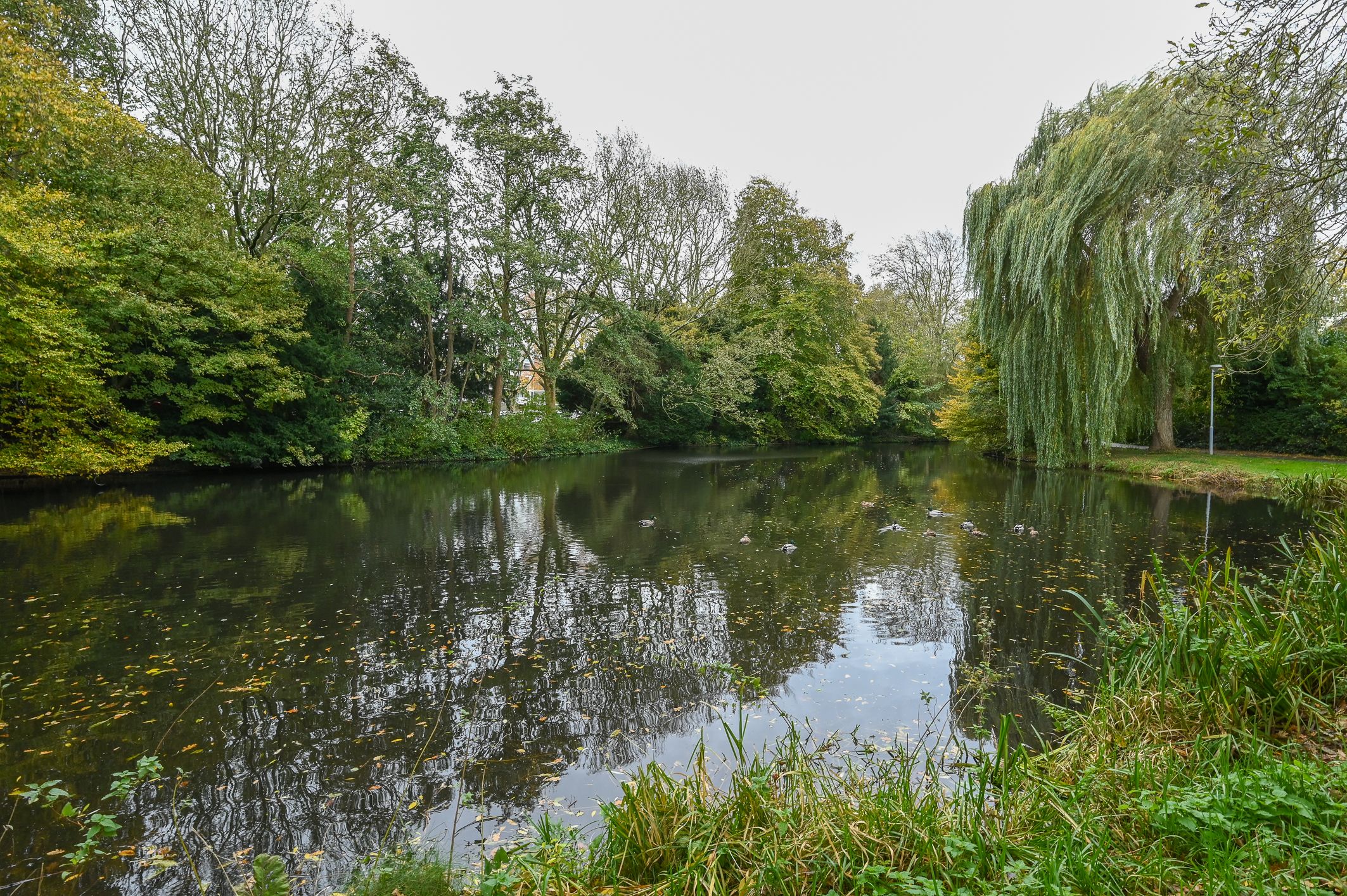 Foto 33 van Elzendreef 189