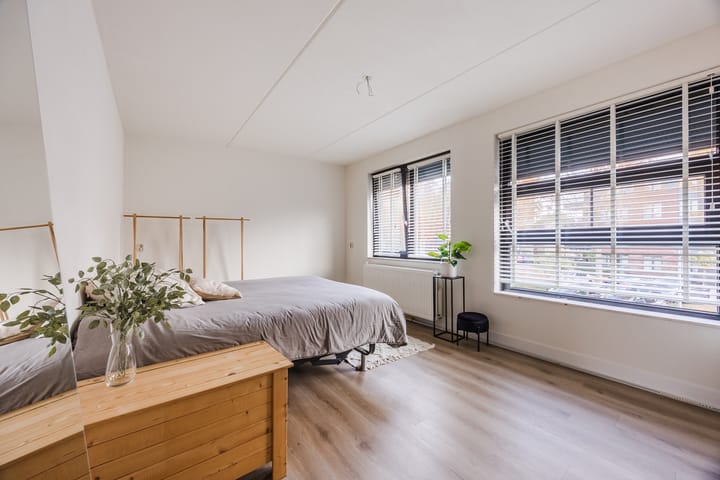 Photo 19 of Rooijsestraat 29