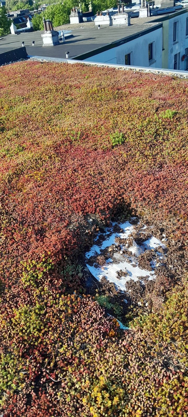 Foto 34 van St. Nicolaïlaan 7