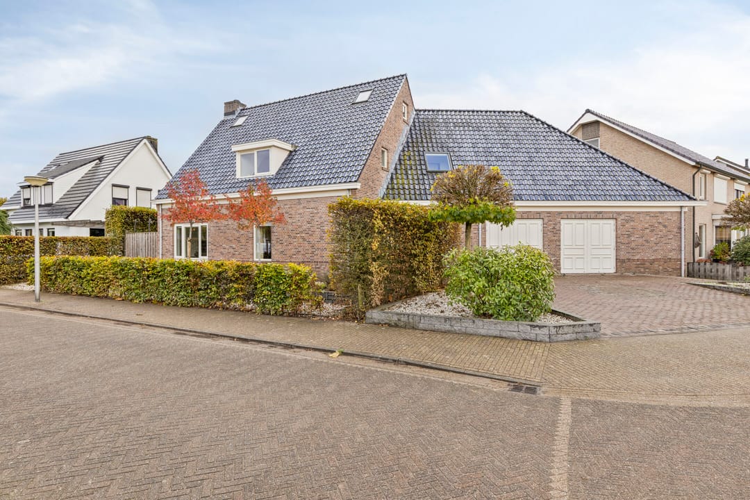 Foto 1 van Guldenroede 3