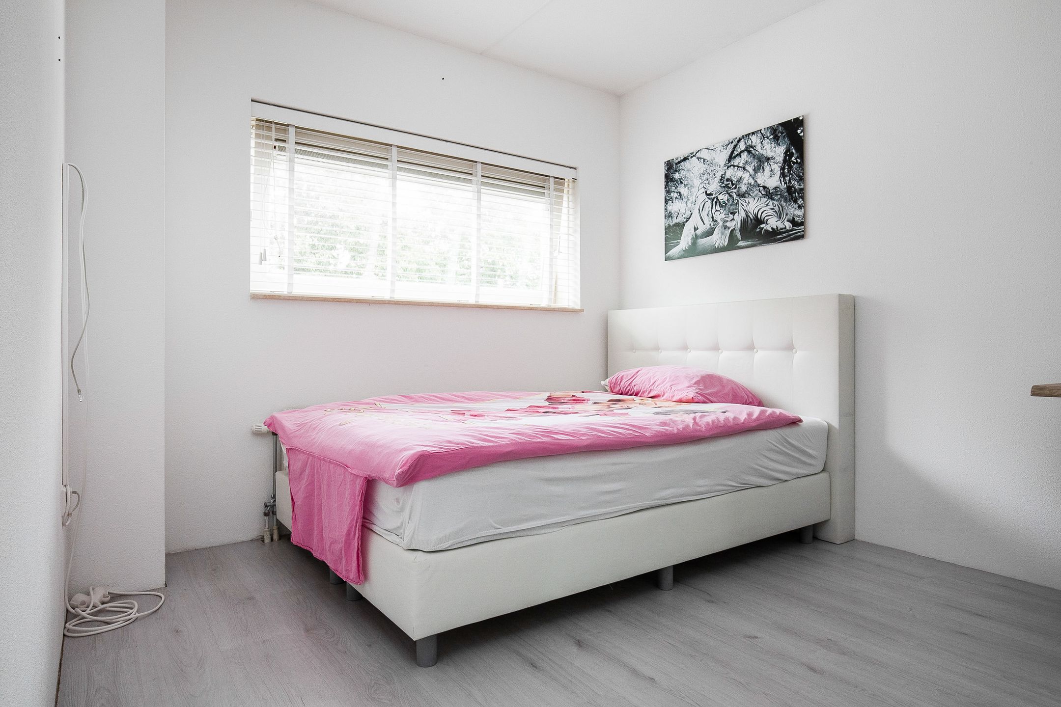 Foto 27 van Frederiksveld 4