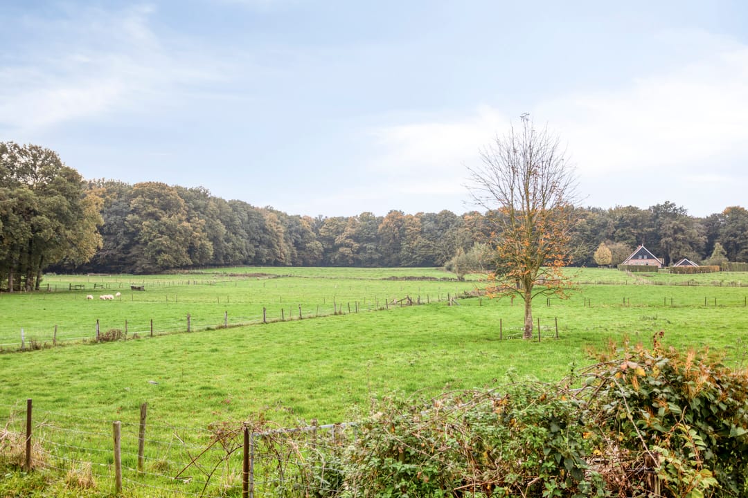 Foto 26 van J.H. Nieuwenhuisstraat 53