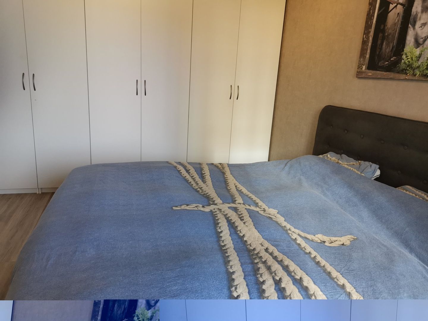 Foto 14 van Sigmaplantsoen 617