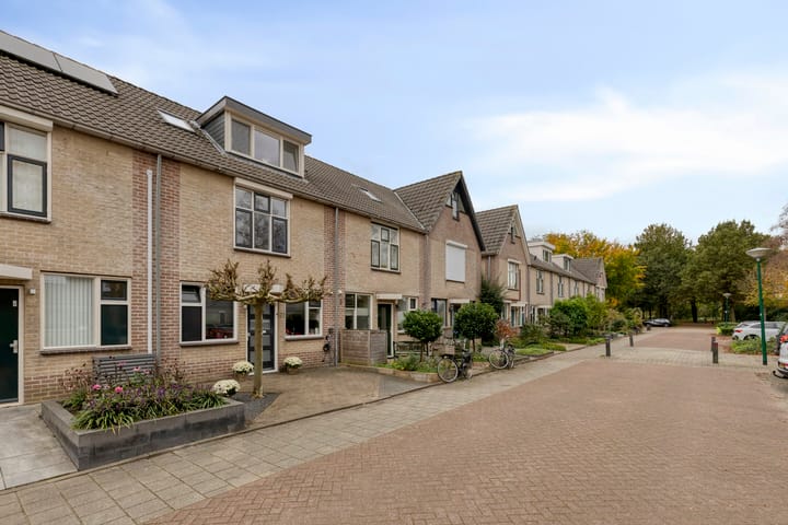 Photo 30 of Van Maerlantstraat 21