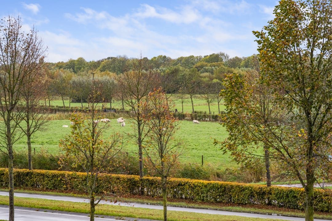 Photo 37 of Wesdijkleede 50