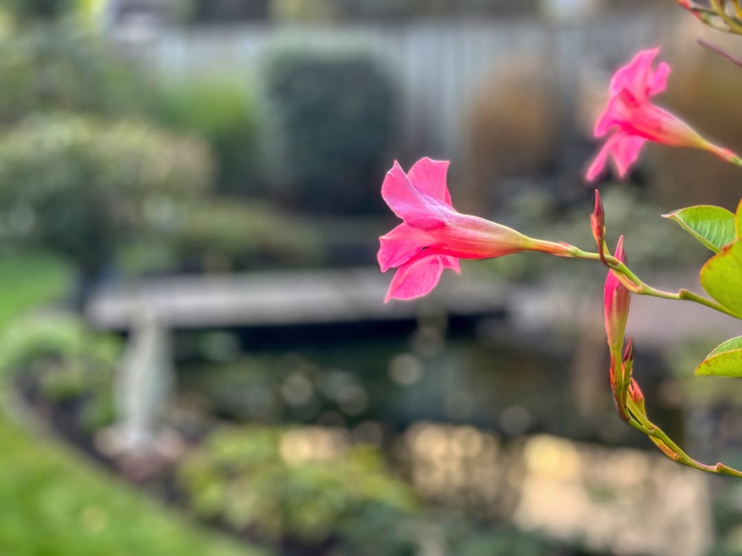 Foto 32 van Molecatenlaan 86