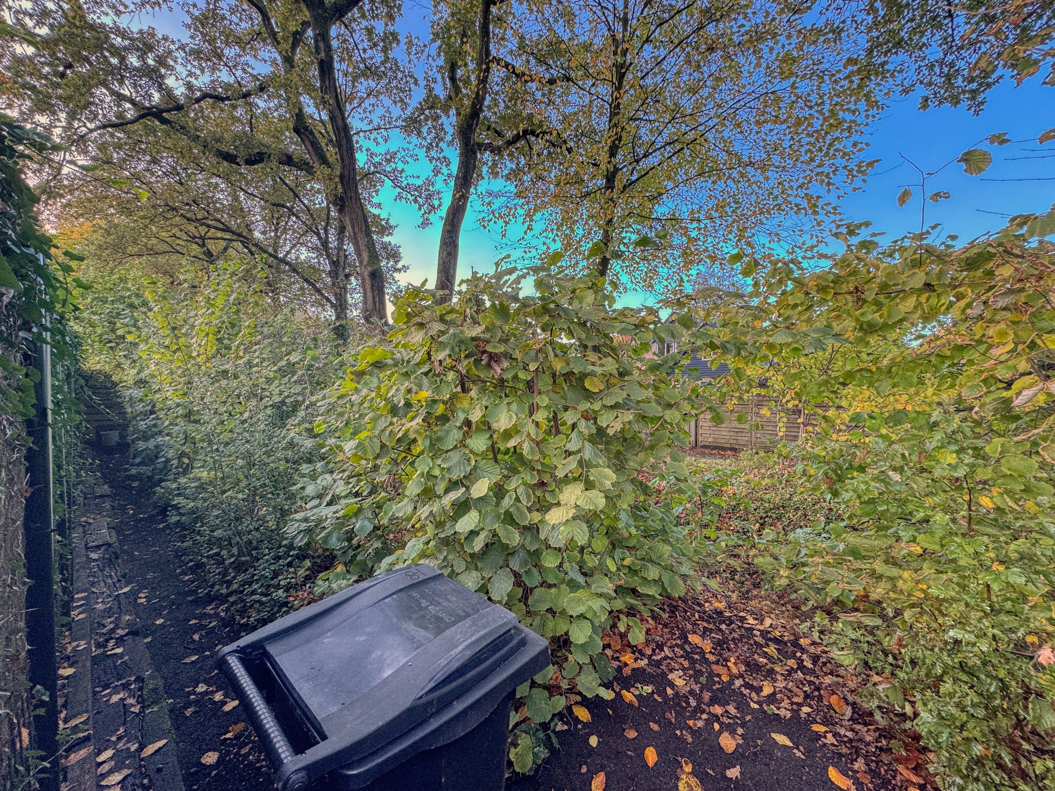 Foto 33 van Molecatenlaan 86