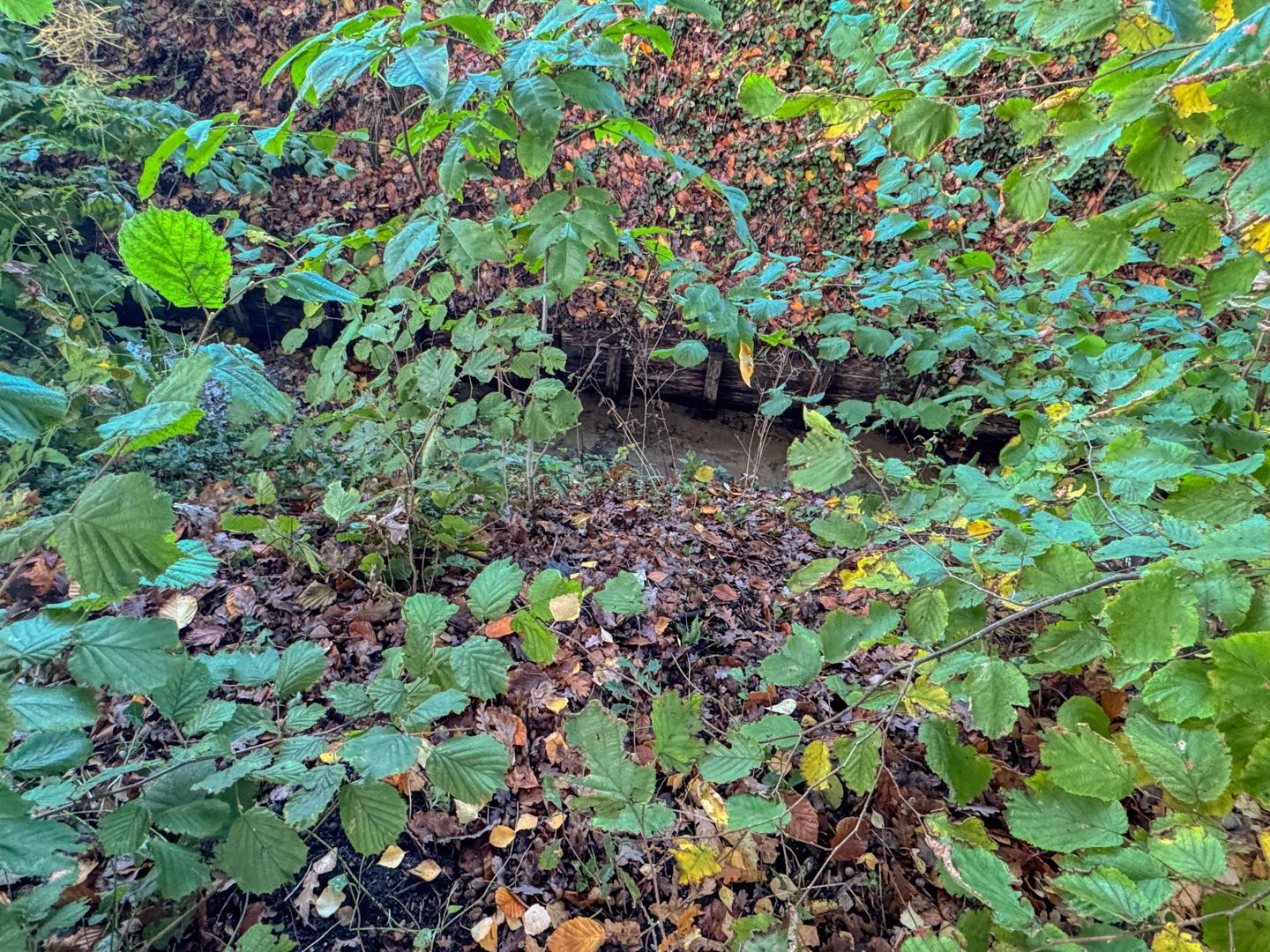 Foto 34 van Molecatenlaan 86