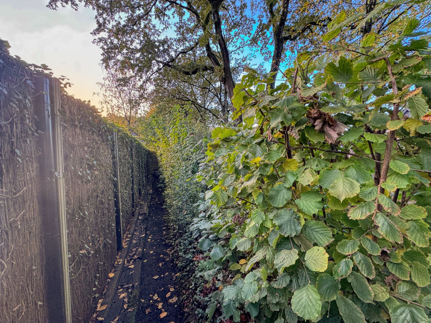 Foto 35 van Molecatenlaan 86