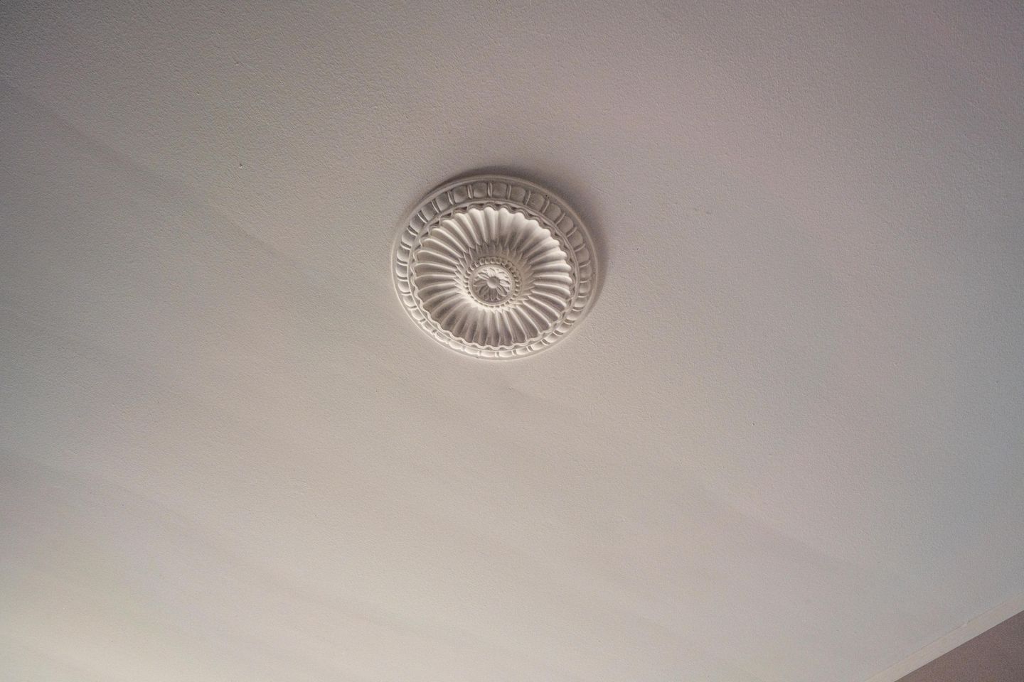 Foto 29 van Griendweg 22