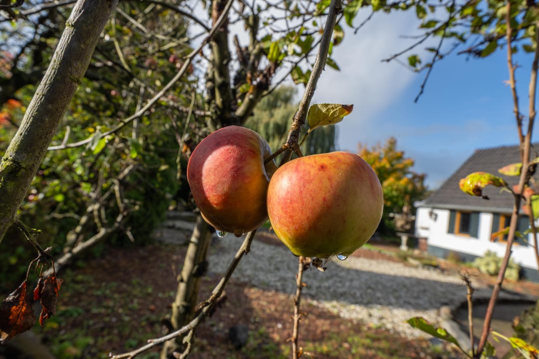 Foto 68 van Griendweg 22