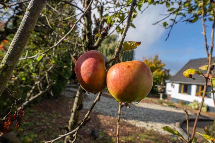 Photo 68 of Griendweg 22