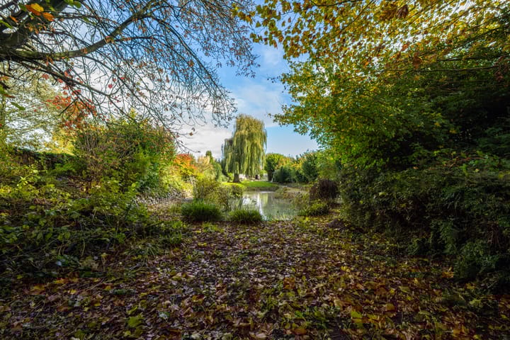 Photo 82 of Griendweg 22