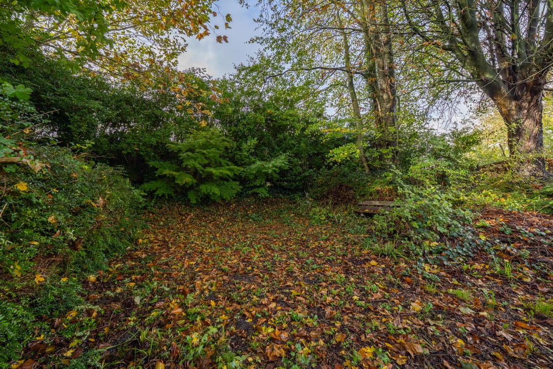 Foto 83 van Griendweg 22