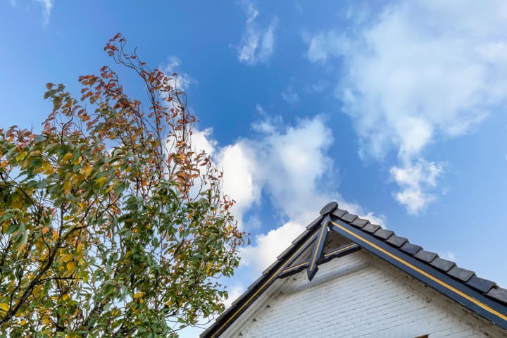 Photo 89 of Griendweg 22