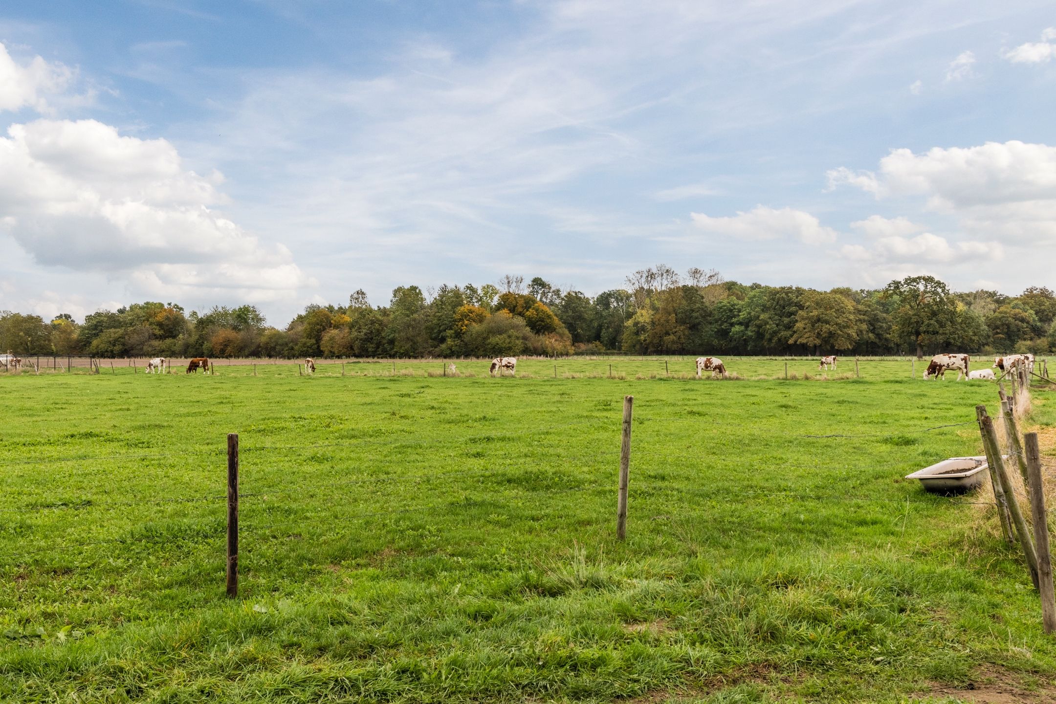 Foto 51 van Oude Rijksweg Zuid 17