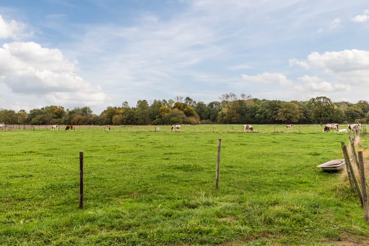 Foto 51 van Oude Rijksweg Zuid 17