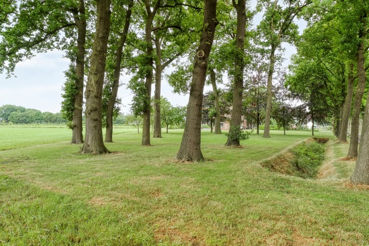 Foto 74 van Kooiweg 3