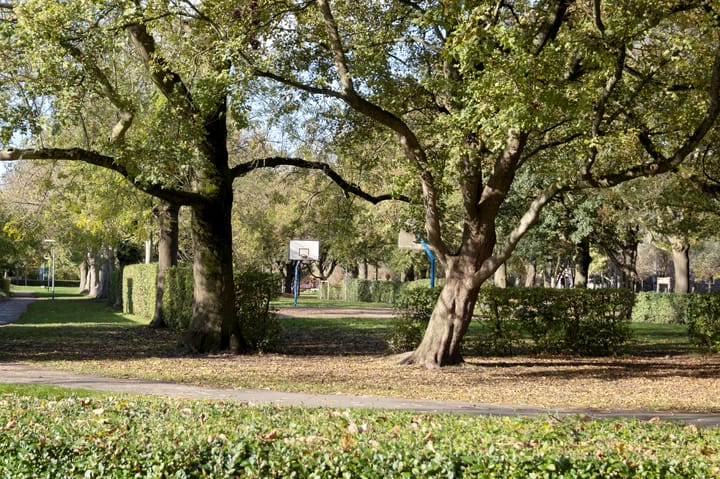 Foto 33 van Hamburgerstraat 72-A