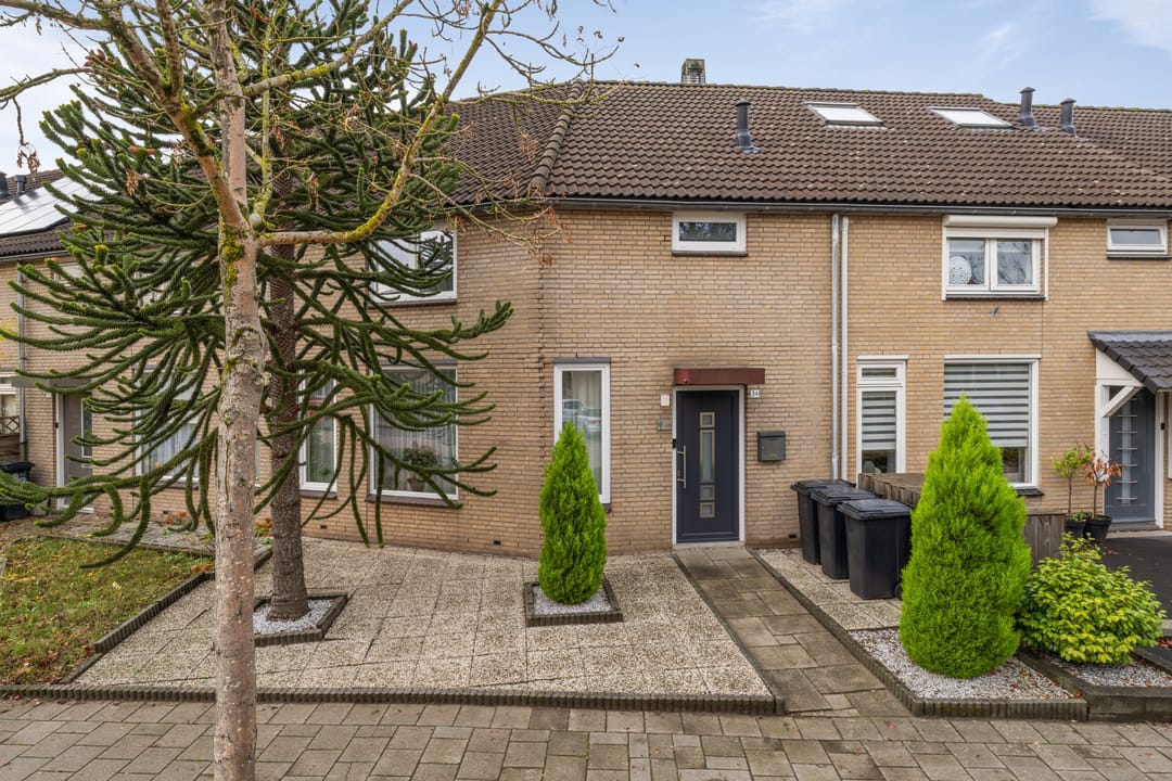 Foto 1 van Roerdomp 34