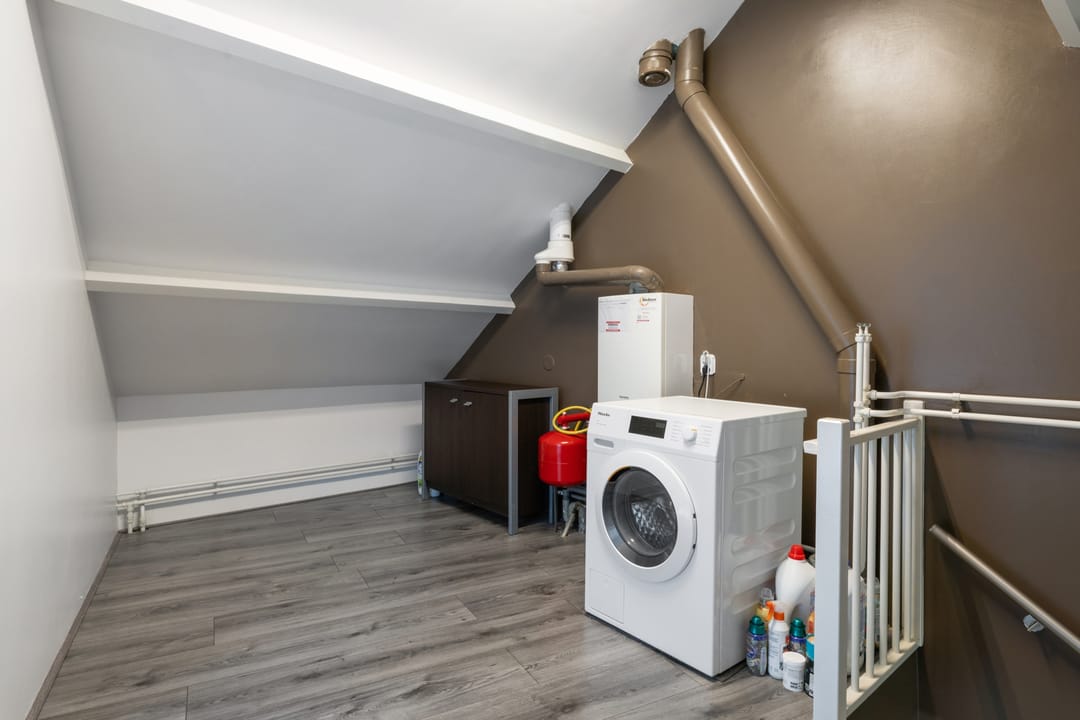 Foto 31 van Roerdomp 34