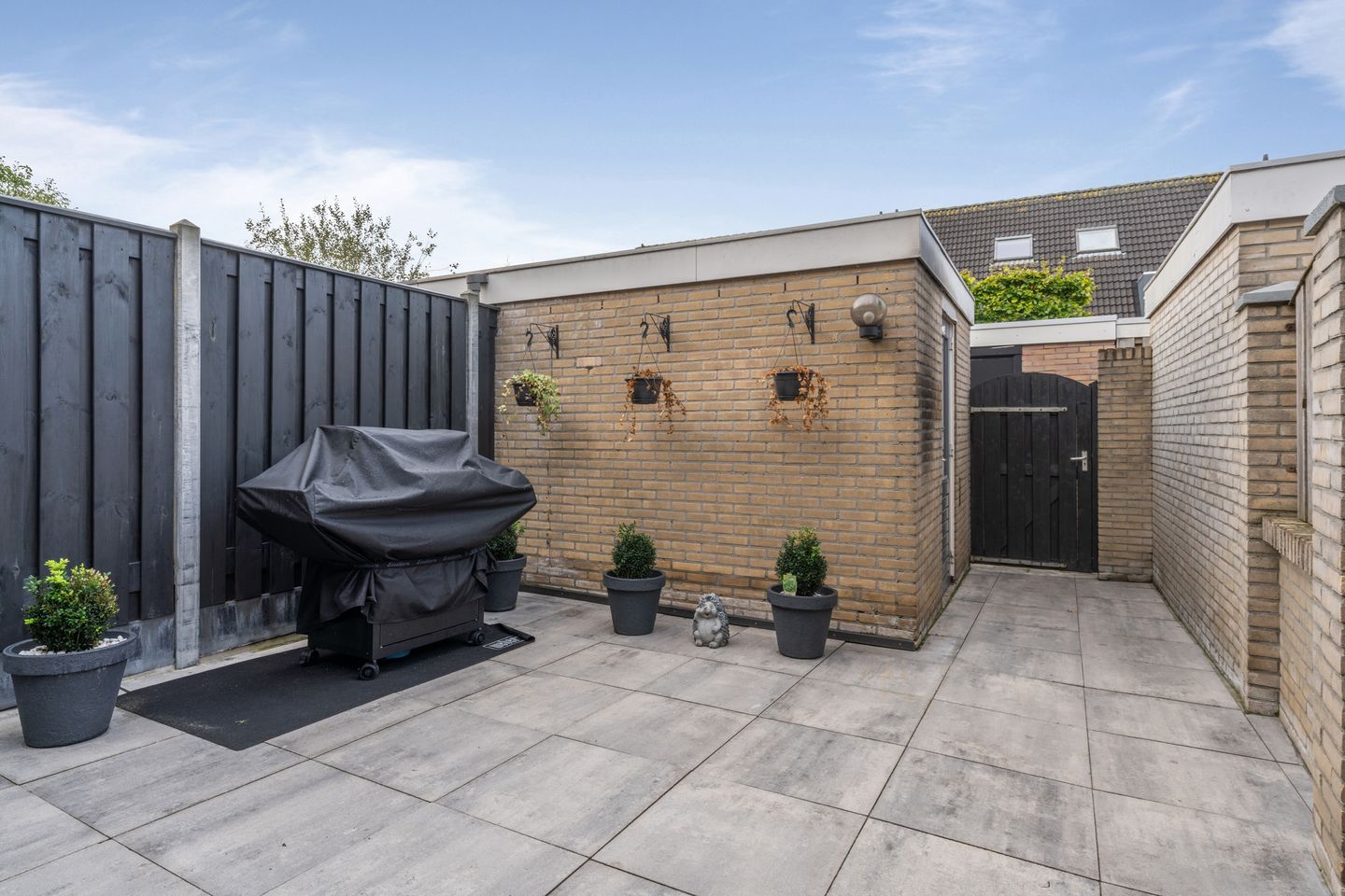 Foto 34 van Roerdomp 34