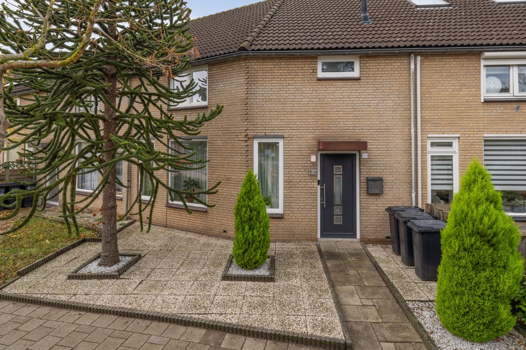 Foto 38 van Roerdomp 34