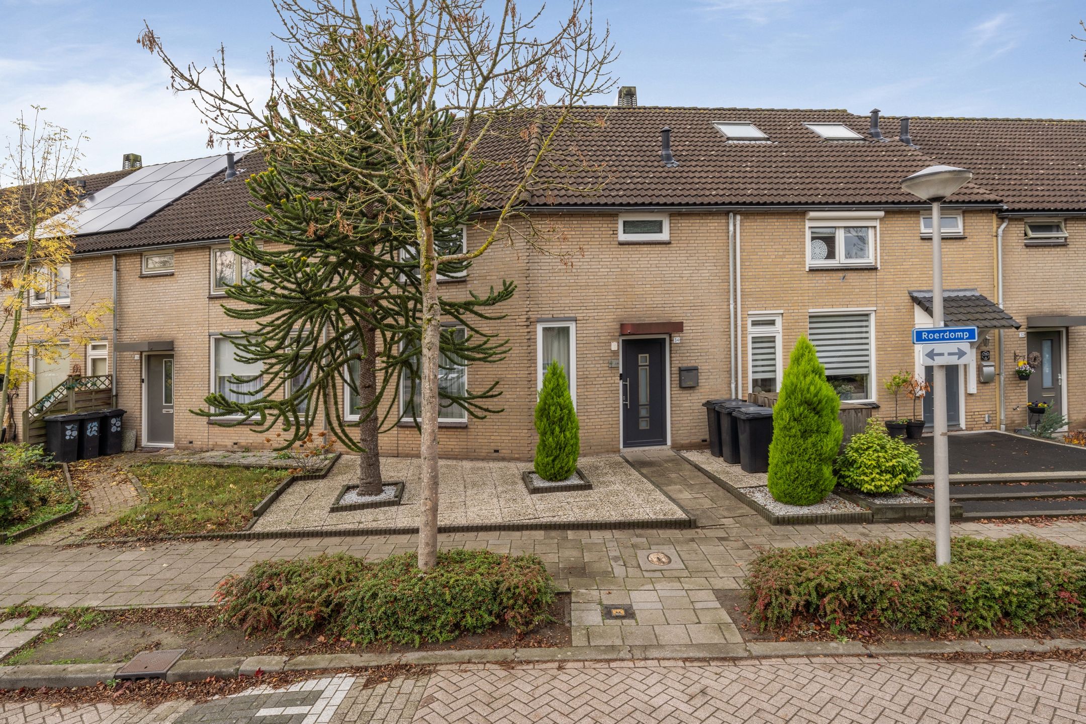 Foto 39 van Roerdomp 34